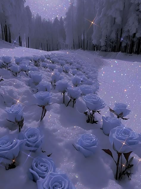 Chelsey Aesthetic, White Roses Aesthetic, Flowers In Snow, White Flowers Aesthetic, Glaucous Aesthetic, Asthetic Pics, Snow Rose, Pretty Flowers Pictures, Glittery Wallpaper