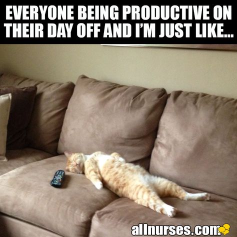 Day Off Humor, Day Off Quotes, Inspirational Life Lessons, Weekday Quotes, Nursing Memes, Funny Animal Jokes, Work Memes, Animal Jokes, Nurse Humor