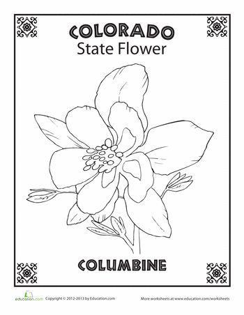 Worksheets: Colorado State Flower Colorado Themed Tattoos, Colorado Symbols, State Flower Tattoo, Flower Worksheet, Colorado State Flower, State Project, Arkansas Vacations, Denver Travel, State Flowers