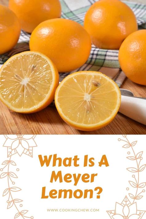 Find out what makes a Meyer lemon so special! Learn how to freeze Meyer lemon juice, freeze Meyer lemon peels, and more! Myers Lemon Recipes, Myer Lemon Recipes, Boil Lemons, Meyer Lemon Recipes, Lemon Water Health Benefits, Lemon Water Before Bed, Meyer Lemon Tree, Water Health Benefits, Lemon Juice Benefits