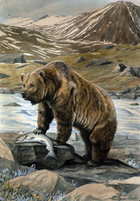 Brown Bear Art, Alaskan Brown Bear, Artstation Concept Art, North American Wildlife, Nature Poster, Bear Hunting, Eagle Pictures, Bear Paintings, Bear Drawing