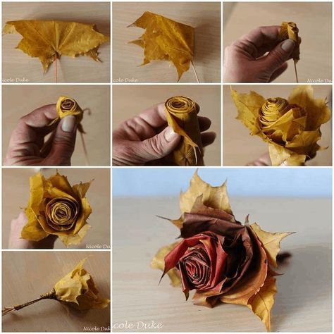 DIY Fall Leaf Roses | How to Make Roses from Fall Leaves Origami Halloween, Autumn Leaves Craft, Tissue Paper Flowers Diy, How To Make Rose, Diy Flores, Diy Leaves, Fleurs Diy, Paper Flower Decor, Thanksgiving Diy