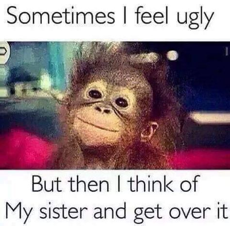 😂😂😂😆👍 Funny Sister Memes, Sister Meme, I Feel Ugly, Sister Jokes, Sibling Memes, Sister Love Quotes, Feeling Ugly, Siblings Funny, Sister Quotes Funny