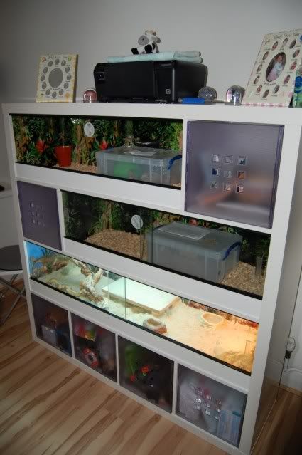 Reptile Forums - View Single Post - SE England IKEA Expedit unit modified into 3 vivs with 6mm glass Ikea Reptile Enclosure, Reptile Room Setup, Reptile Room Ideas, Reptile Setup, Diy Vivarium, Expedit Hack, Snake Cage, Snake Cages, Animal Homes