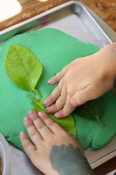 Activities With Leaves, Fall Leaves Preschool, Leaf Lesson Plans, Leaf Pressing, Fall Leaves Activities, Leaf Lessons, Green Activities, Fall Activities For Toddlers, Fall Preschool Activities