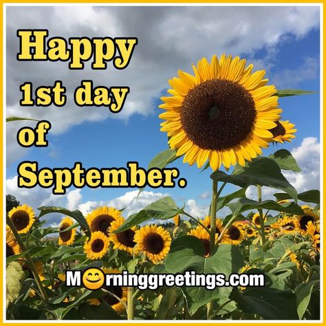 40 Best September Morning Quotes And Wishes - Morning Greetings – Morning Quotes And Wishes Images 1st Of September Quotes, Good Morning September 1st, September 1 Quotes, Happy September 1st, Happy September 1st Quotes, 1st September Quotes, Spring Day Quotes, Good Morning September, Hello September Quotes