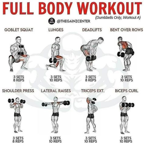 Dumbell Circuit Workout, Full Body Dumbbell Workout At Home, Dumbbell Workout For Men, Full Body Circuit Workout, Hero Workouts, Workouts Women, Dumbbell Workout At Home, Full Body Weight Workout, Full Body Workout Plan