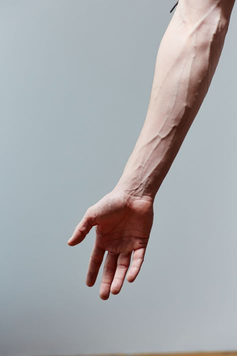 Hand Anatomy, Man Hand, Figurative Kunst, Hand Photography, Hand Drawing Reference, Photographie Portrait Inspiration, Body Photography, Reference Drawing, Hand Reference