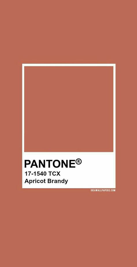 Color Psychology Personality, Pantone Color Palette, Color Palette Neutral, Tan Color Palette, Apricot Brandy, Brain Illustration, Pantone Swatches, Pantone 2020, Pantone Palette