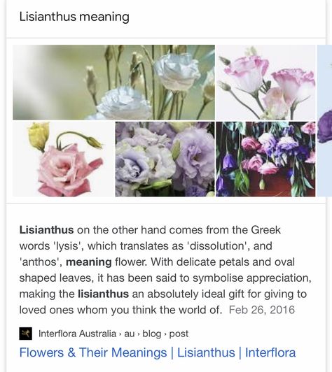 Lisianthus flower symbolizes appreciation, love, respect, admiration Plant Symbolism, Lisianthus Flower, Flower Symbolism, Plant Fungus, Flower Meanings, Encouragement Gifts, Language Of Flowers, Floral Photo, Pretty Plants