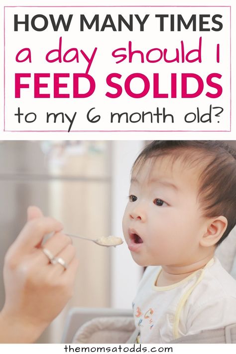 How Many Times a Day Should I Feed Solids to My 6 Month Old? Six Month Feeding Schedule, Infant Feeding Schedule With Solids, What Should I Feed My 6 Month Old, 6 Month Old Schedule Food, 6 Month Old Schedule With Solids, Schedule For 6 Month Old Baby, What Can I Feed My 6 Month Old, Good Ideas For 7 Month Old, Weaning Schedule 6 Months