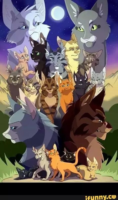 Warrior cats Top: Omen of the Stars Second to top: Power of three Second to bottom: The new Prophecy: Bottom: The prophecies begin Warrior Cats Books, Cat Whisperer, F2 Savannah Cat, Warrior Cats Fan Art, Warrior Cat Drawings, Love Warriors, Cat Spray, Savannah Cat, Image Chat