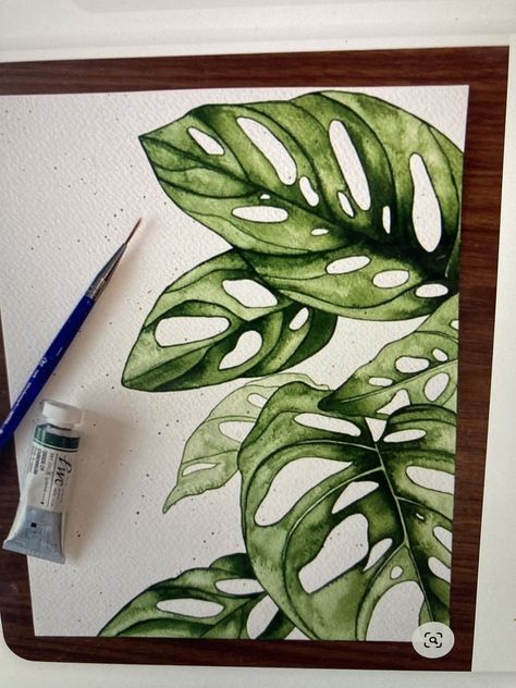 Monstera Adansonii, Green Planet, Leaf Wall, 수채화 그림, Young Professional, Plant Drawing, Watercolor Art Lessons, Leaf Wall Art, Arte Inspo