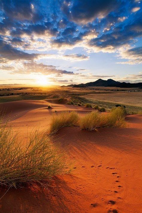 Africa Sunset, Deserts Of The World, African Sunset, Desert Life, Sun Rises, Desert Landscaping, In The Desert, Africa Travel, Nature Reserve