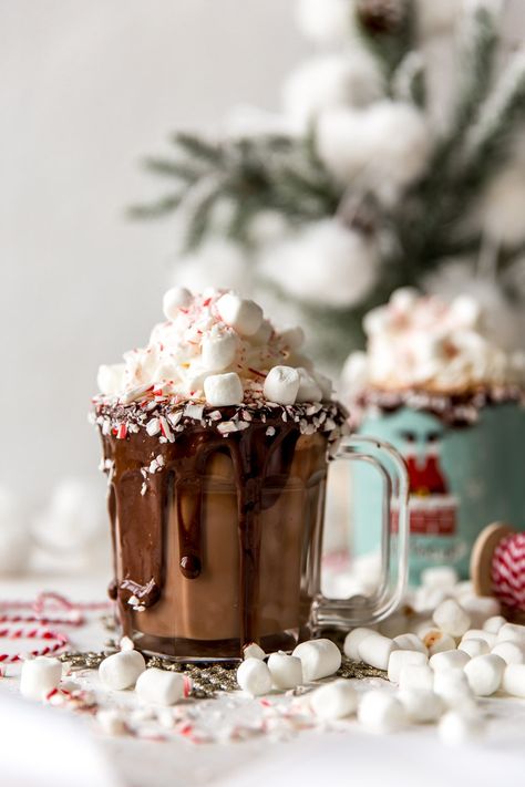 Christmas Drinks Hot Chocolate, Cute Christmas Drinks, Christmas Food Photography, Peppermint Schnapps, Hot Cocoa Mugs, Dessert Christmas, Hot Chocolate Christmas, Christmas Cocoa, Hot Cocoa Christmas