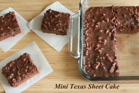 Small Batch Bar Cookies, 8x8 Desserts, Small Chocolate Cake Recipe, Sheet Cake Chocolate, Small Chocolate Cake, Celebrating Sweets, Texas Sheet Cake Recipe, Batch Baking, Batch Recipes