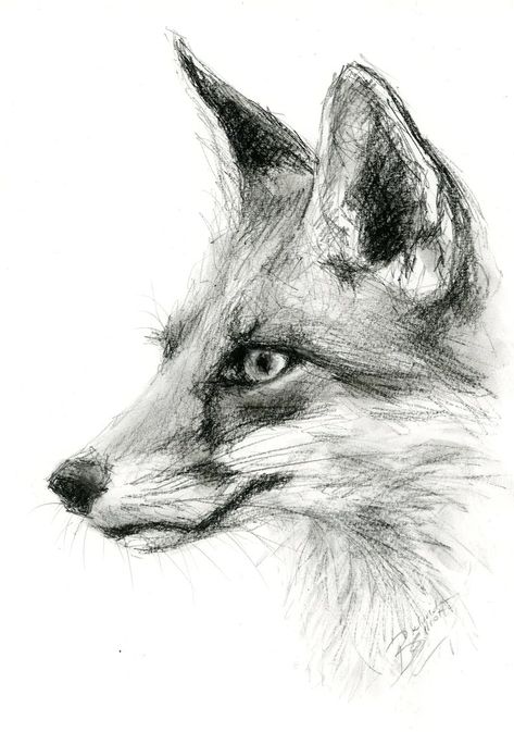 Fox Drawing Realistic, Fox Simple Drawing, Drawings Of Owls, Fox Drawing Sketches, Wildlife Sketches, Fox Paintings, Landscape Drawing Tutorial, Animals Portrait, Fox Sketch