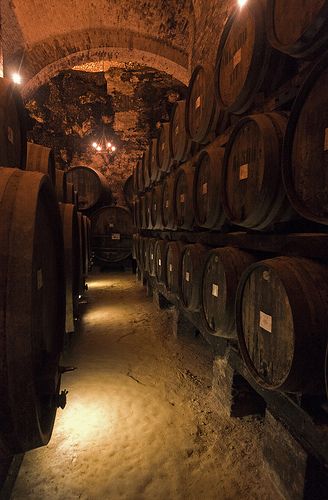 Wine caskets in a cellar in Montepulciano, Italy | Photo by Dolf van der Haven on Flickr | Permission: CC BY-NC-ND 2.0 http://creativecommons.org/licenses/by-nc-nd/2.0/deed.de Wine Cave, Wine Vineyards, Wine Barrels, Montepulciano, Wine Time, Wine Barrel, Wine Room, Italian Wine, Wine Storage