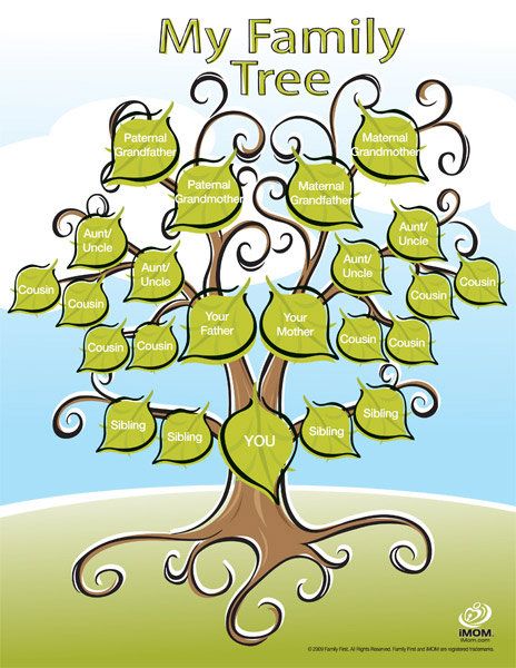 Cute Printable Family Tree Reunion Familiar, Family Trees Diy, Family Tree For Kids, Family Tree Craft, Make A Family Tree, Family Tree Printable, Trees For Kids, Family History Projects, Family Tree Designs