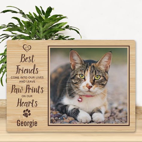 Memorial Gardens, Pet Memorial Plaque, Cat Memorial Gift, Memorial Ideas, Photo Cat, Dog Remembrance, Cat Loss, Pet Supplies & Accessories, Personalized Pet Memorial