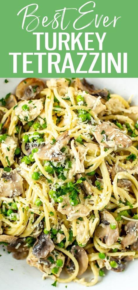 Best Ever Turkey Tetrazzini Healthy Turkey Tetrazzini Recipe, Turkey Tettrazini, Best Ever Turkey, Dish With Mushrooms, Turkey Tetrazzini Recipe, Turkey Ideas, Turkey Tetrazzini, Turkey Pasta, Chicken Tetrazzini