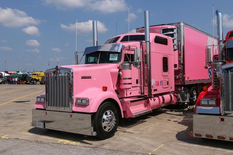 Trucking Pink Semi Truck, Pink Peterbilt, Semi Trucks Interior, Pink Truck, Truck Paint, Trucking Life, Heavy Duty Trucks, Truck Interior, Peterbilt Trucks