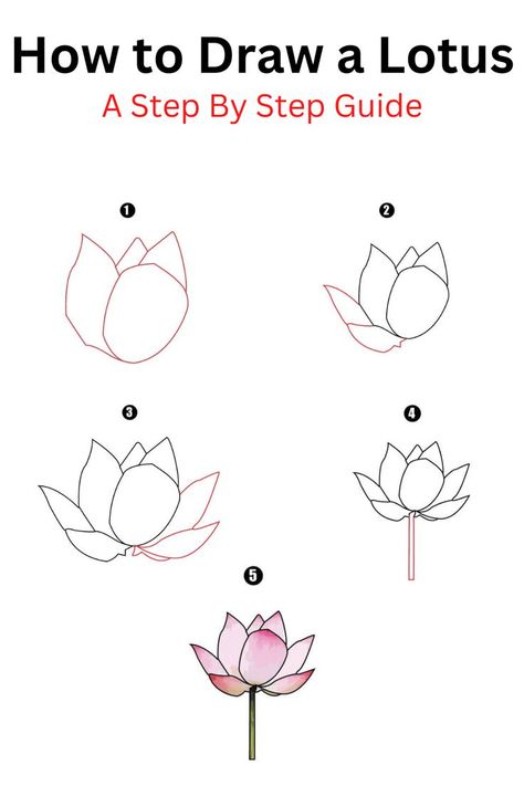 How to Draw a Lotus Lotus Doodle Simple, Lotus Flower Drawing Simple Step By Step, How To Draw Lotus Step By Step, How To Draw Lotus Flower Step By Step, How To Draw A Lotus Flower, Lotus Drawing Simple, Lotus Doodle, Draw A Lotus Flower, Hobonichi Journal