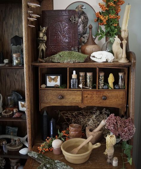 Witch Herb Storage Ideas, Witch Apothecary Aesthetic, Apothecary Office, Witchy Cabinet, Herb Jars, Apothecary Decor, Witchy Room, Witchcraft Altar, Apothecary Style