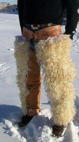 Wooly Chaps, Cowgirl Chaps, Shotgun Chaps, Animal Humour, Founders Day, True Grit, Cowboy Art, Country Store, Fashion Project