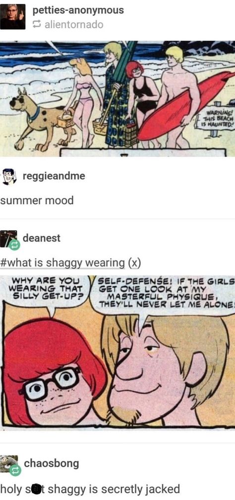 WHAT ABOUT SCOBBY'S GUCCI SUNGLASSES LMAO Scooby Doo Polycule, Velma X Shaggy, Fred X Shaggy Ship, Scooby Doo Shaggy X Fred, Shaggy X Velma, Scooby Doo Funny, Scooby Doo Art, Scooby Doo Memes, Shaggy And Velma