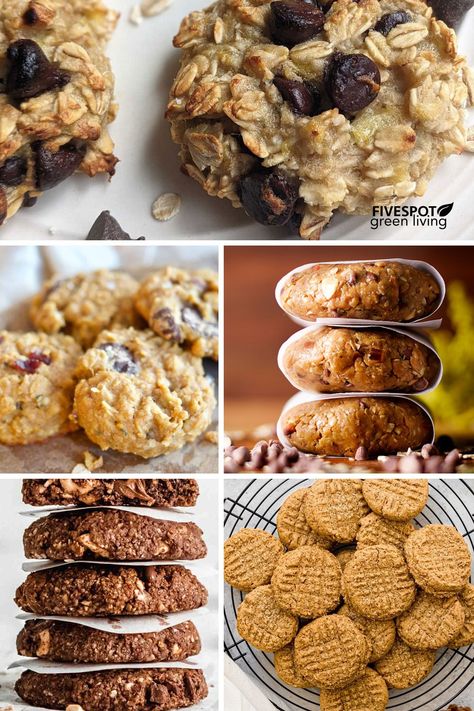 27 Amazing High Fiber Cookie Recipes - Five Spot Green Living High Fiber Cookie Recipes, Fiber Cookies Healthy, High Fiber Oatmeal Cookies, High Fiber Baked Goods, High Fiber Breakfast Cookies, High Fibre Cookies, High Fiber Cookies Healthy, High Fiber Dessert Recipes, High Fiber Desserts