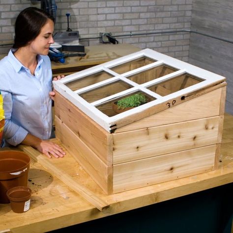 Greenhouse With Old Windows, Diy Small Greenhouse, Serre Diy, Greenhouse Base, Mini Serre, Outdoor Woodworking Projects, Diy Greenhouse Plans, Build A Greenhouse, Small Greenhouse