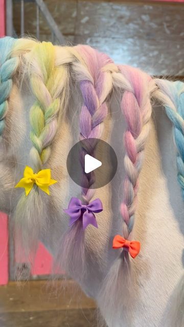 Line Laagasken 🇳🇴 on Instagram: "Ella braids Soria’s rainbow hair, and puts on bows😍💖 What do you think? I LOVE IT🥰 

#rainbow #rainbowhair #hairstyle #hairstyleideas #braidstyles #braid #kids #horselife #ponylife #unicorn #pferd #pferde #instapferd" Horse Life, Rainbow Hair, Braid Styles, I Love It, Put On, You Think, Thinking Of You, Love It, Braids