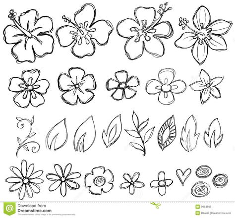 Hawaiian Flower Drawing, Summer Drawings, Beach Drawing, Flower Drawings, Vector Elements, Hawaiian Flower, Flower Sketches, Plant Drawing, Trendy Flowers