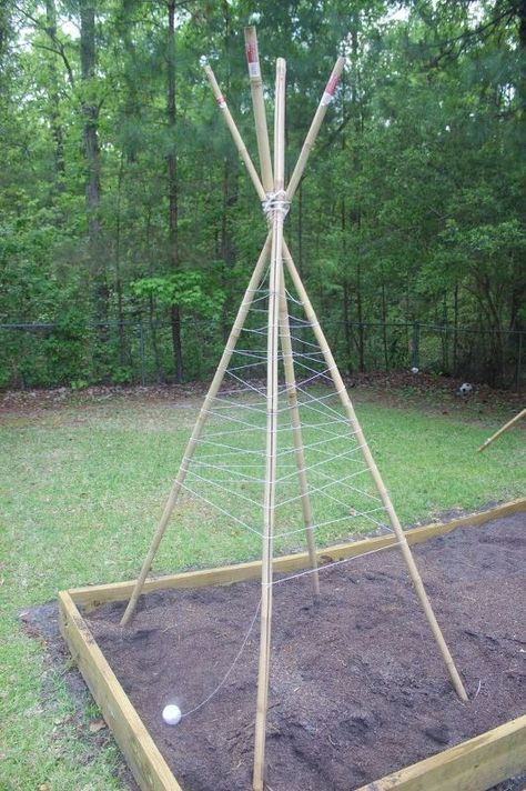 how to build a bamboo pole bean teepee frame, gardening, how to, outdoor furniture, outdoor living, raised garden beds Garden Teepee, Bean Teepee, Teepee Trellis, Bean Trellis, Bean Garden, Build A Garden, Diy Teepee, Hippie Garden, Cold Frames