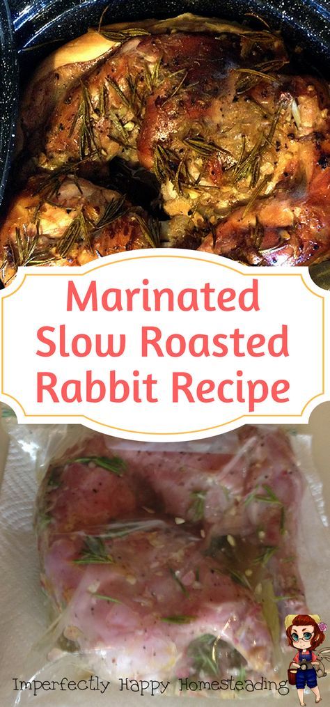 Roasted Rabbit Recipe, Easy Rabbit Recipe, Roasted Rabbit, Roast Rabbit, Rabbit Recipe, Sun Oven, Rabbit Recipes, Rabbit Stew, Rabbit Dishes