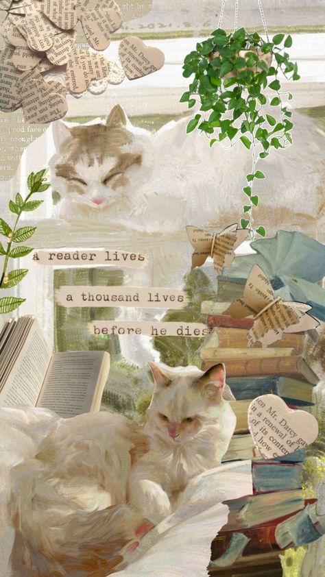 Cute Cat Lockscreen Aesthetic, Aesthetic Cat Wallpaper, Cat And Book Wallpaper, Cat Painting Wallpaper, Cat Aethstetic Wallpaper, Cat Book Wallpaper, Cat Moodboard, Collage Cat, Cats Collage