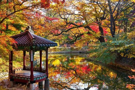 Visiting Korea in October | Weather, Best Festivals + What to Wear [2023] Seoraksan National Park, Autumn In Korea, Bukchon Hanok Village, Korea Tourism, Ancient Tomb, Seoul Travel, South Korea Seoul, Magic Island, Korea Seoul