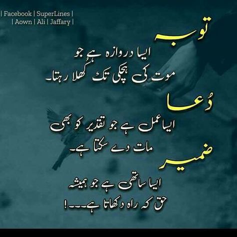 Islamic Batein In Urdu, Good Morning Prayer Messages, Good Morning Messages Friends, Sabar Quotes, Inspirational Quotes In Urdu, Good Day Messages, Inspirtional Quotes, Amazing Funny Facts, Beautiful Morning Messages