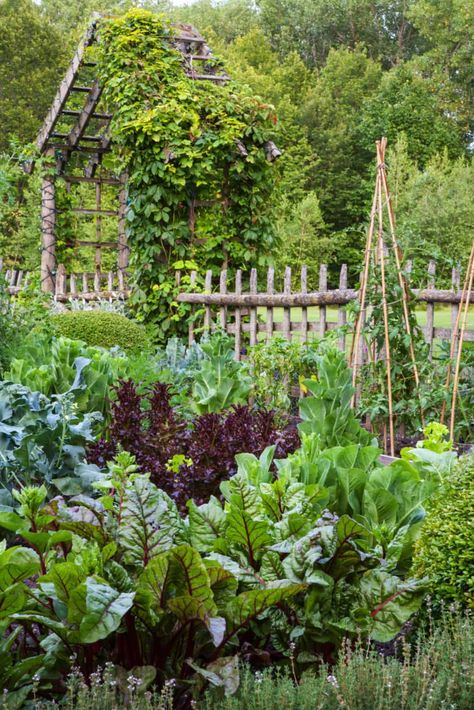 Fenced Vegetable Garden, Garden Boxes Raised, Potager Garden, Edible Landscaping, Veg Garden, Inspire Me Home Decor, Have Inspiration, Vegetable Garden Design, Traditional Landscape