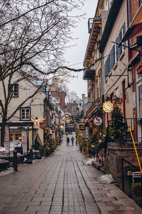 Quebec City Restaurants, Quebec City Aesthetic, Quebec Aesthetic, Quebec Christmas, Canada Vibes, Quebec City Christmas, Canada In Winter, Christmas Canada, Winter In Canada