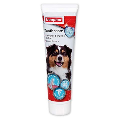 Toothpaste For Dogs, Pet Dental Care, Flavored Toothpaste, Dog Toothpaste, Dog Dental Care, Dog Health Care, Cat Help, Dog Teeth, Main Game