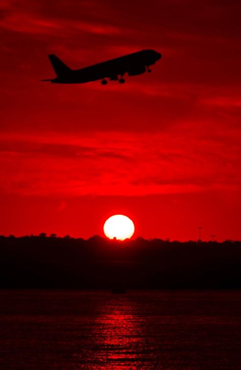 “ Sunset @ Sydney Airport ” Red Plane Aesthetic, Plane Wallpaper, Red Airplane, Plane Photography, Airplane Wallpaper, Sydney Airport, Photoshop Digital Background, Tumblr Users, Face The Music