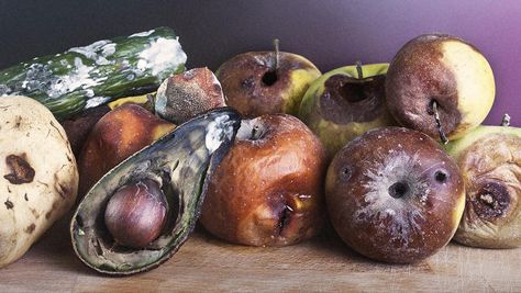 Rotten Food Photography, Bear Moodboard, Decaying Fruit, Rotten Vegetables, Moldy Fruit, Fruit Tattoos, Rotting Fruit, Rotting Food, Rotten Food