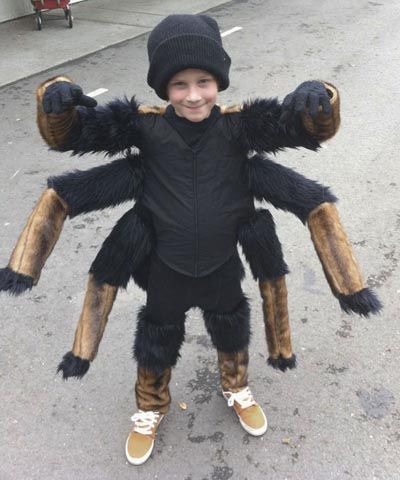 Spider Costume Diy, Kids Spider Costume, Best Homemade Costumes, Tarantula Costume, Diy Spider Costume, Spider Cosplay, Spider Halloween Costume, Amazing Halloween Costumes, Leafhopper