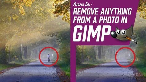 You've taken a great photo, but need to remove a pesky object from a background. We'll show you how to do that in this GIMP photo editing tutorial. Gimp Photo Editing, Digital Photo Organization, Gimp Tutorial, Photography Cheat Sheets, Photography Basics, Photo Editing Tutorial, Foto Tips, Photo Processing, Photo Work