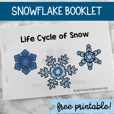 Life Cycle of Snowflakes Booklet Snow Cycle Preschool, Snowflakes Printable Free, Snowflake Theme Preschool, Snow Kindergarten, Snow Theme Preschool, Snowflakes Kindergarten, Snowflake Printables Free, Kindergarten Snowflakes, Winter Bird Activities Preschool