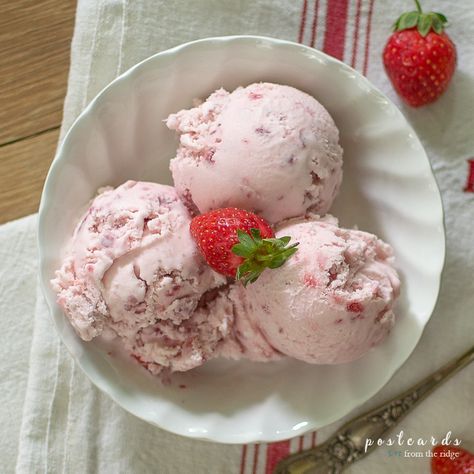 This is a wonderful classic strawberry ice cream recipe. Uses fresh or frozen strawberries. #recipe #icecream #strawberries Weird Ice Cream Flavors, Homemade Strawberry Ice Cream, Strawberry Ice Cream Recipe, Electric Ice Cream Maker, Cuisinart Ice Cream, Cuisinart Ice Cream Maker, Strawberry Balsamic, Ice Cream Maker Recipes, Making Homemade Ice Cream