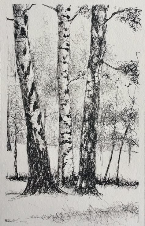 New York Art Studio, Drawing Workshop, Pencil Tree, Tree Drawings, Ink Pen Art, Tree Drawings Pencil, Tree Sketches, Corporate Art, Landscape Sketch