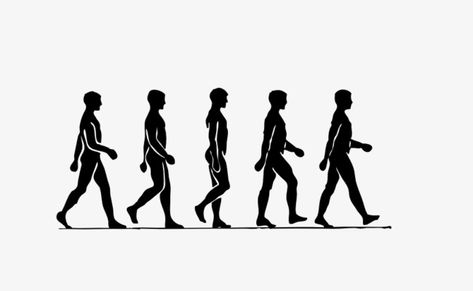 Walking Graphic Design, People Walking Reference, People Walking Drawing, Walking Sillouhette, Person Walking Silhouette, People Walking Png, Human Silloute Architecture, People Walking Png Architecture, Crowd Silhouette Illustration